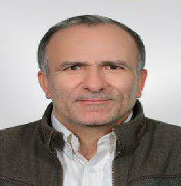 Potential speaker for catalysis conference - Ali Ramazani